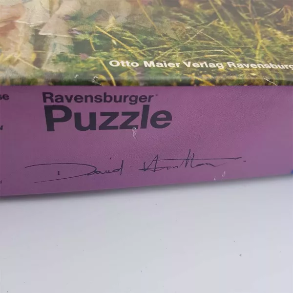 Rare Puzzle 2000pcs "Girls in the Meadow" by David Hamilton (1977) - Image 7